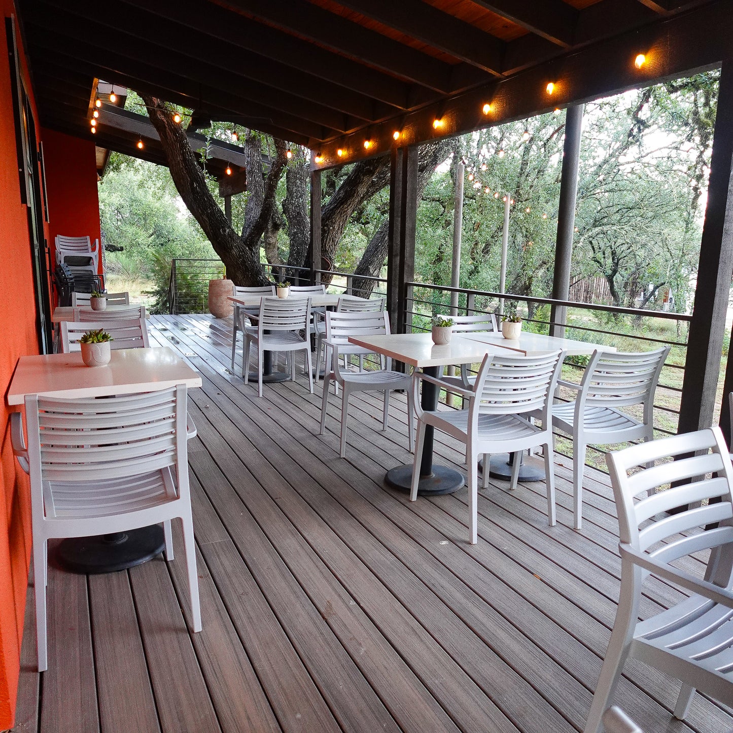 Alinea by Design Full Moon Retreat: Align with Your Design • Honor Your Roots • Expand Your Spirit