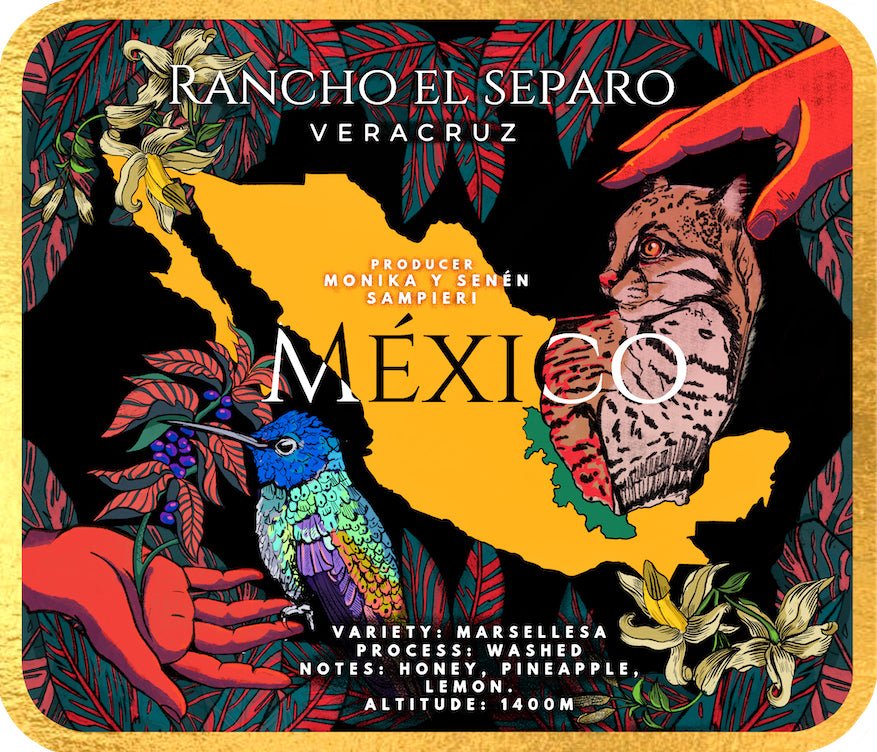Café Metzli - Rancho El Separo - Veracruz, México (Medium Roast) 12oz